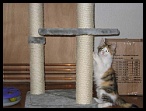 0017 5juin test
